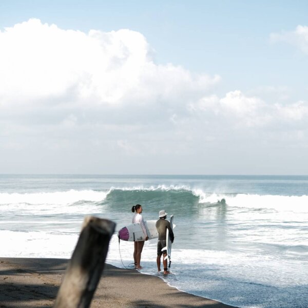 DSCF2650 (1) (1) (1)